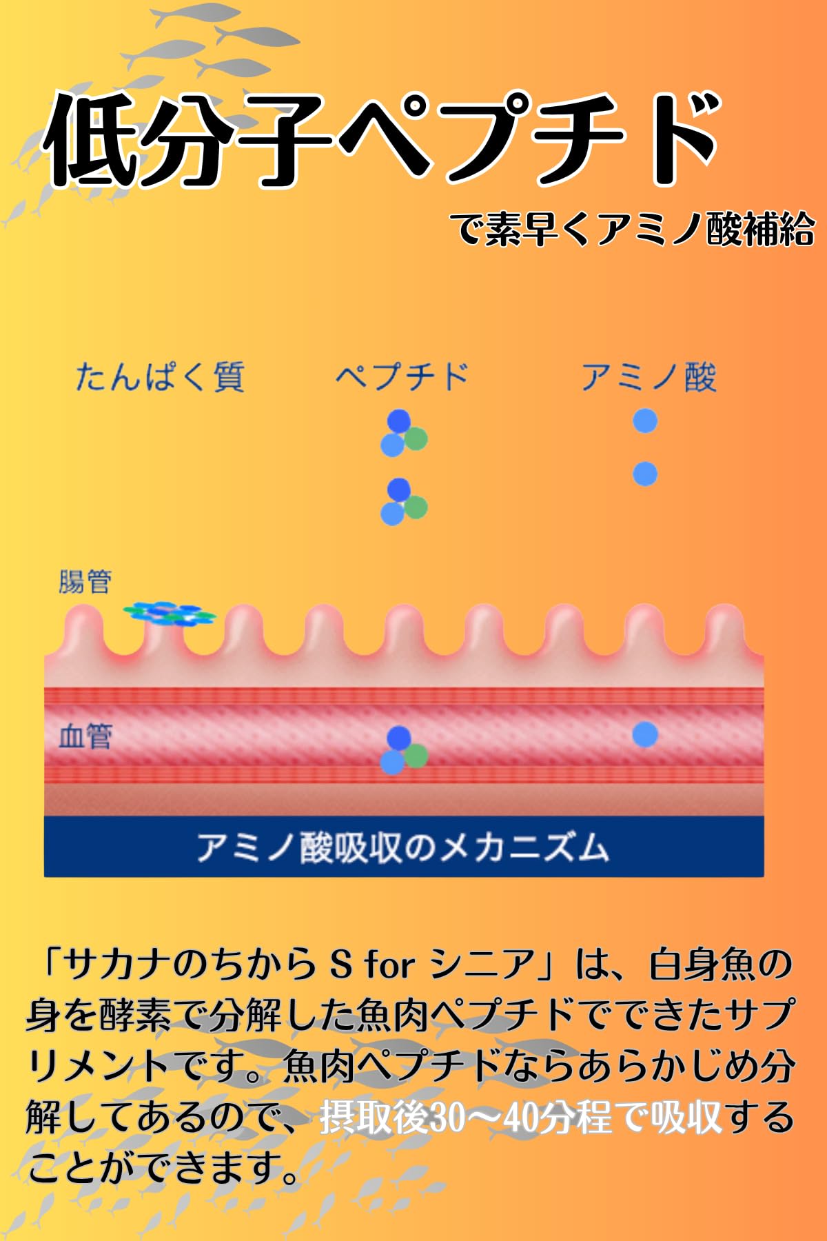 Amazon.co.jp: サカナのちから サカナのちからS for シニア 120g 錠剤