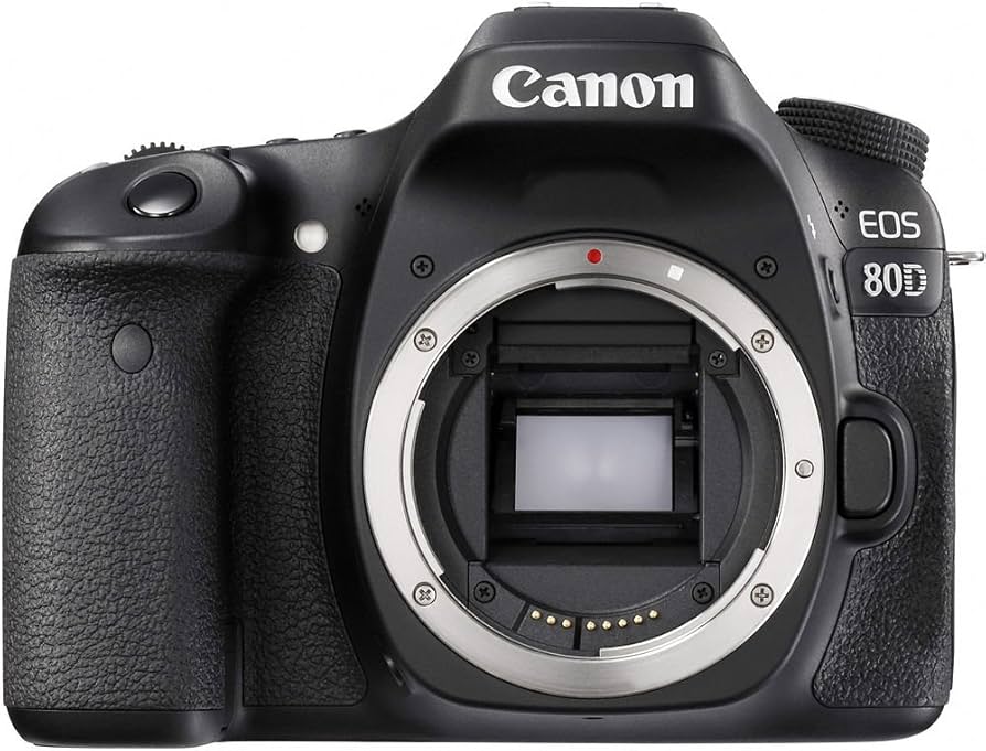 Amazon.com : Canon EOS 80D DSLR Camera (Body Only) (1263C004) + 4K