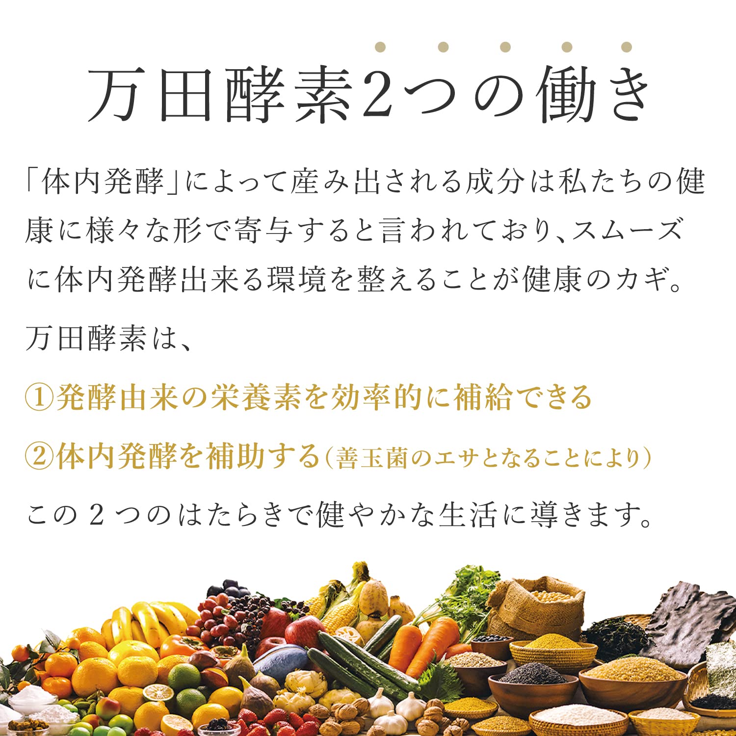 Amazon.co.jp: 万田酵素 ペーストタイプ GINGER ジンジャー チューブ