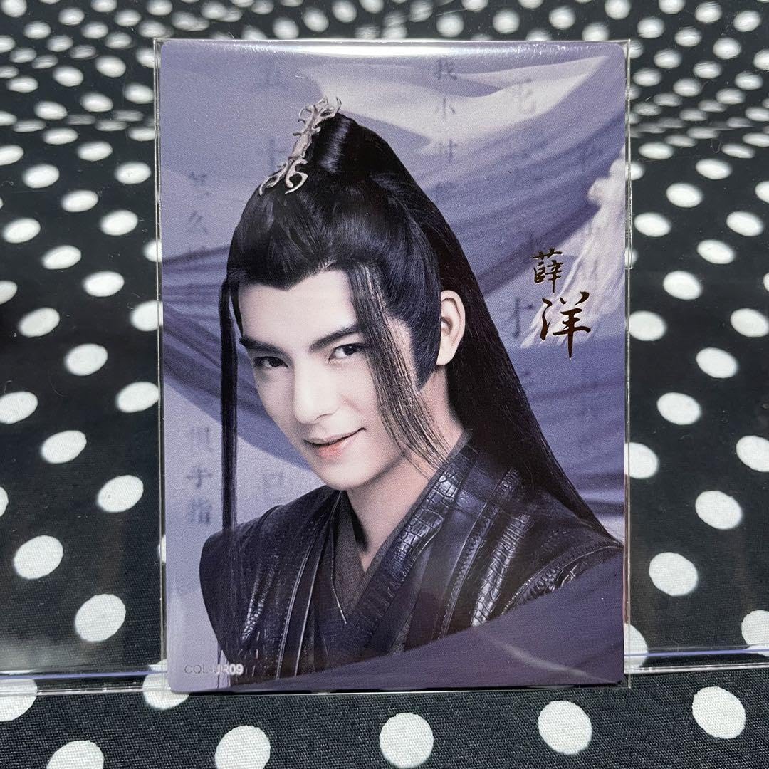 Amazon.co.jp: 陳情令 公式グッズ トレカ 薛洋 シュエヤン : おもちゃ