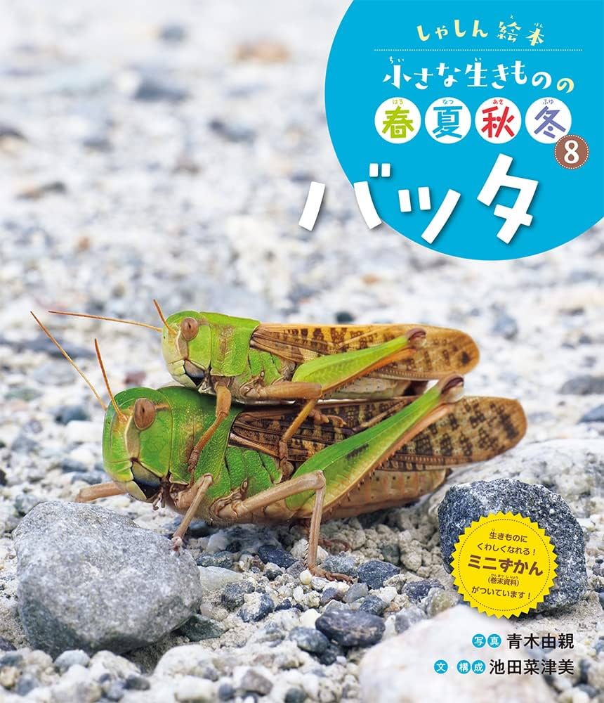 バッタ (しゃしん絵本小さな生きものの春夏秋冬 8) | 青木 由親, 池田