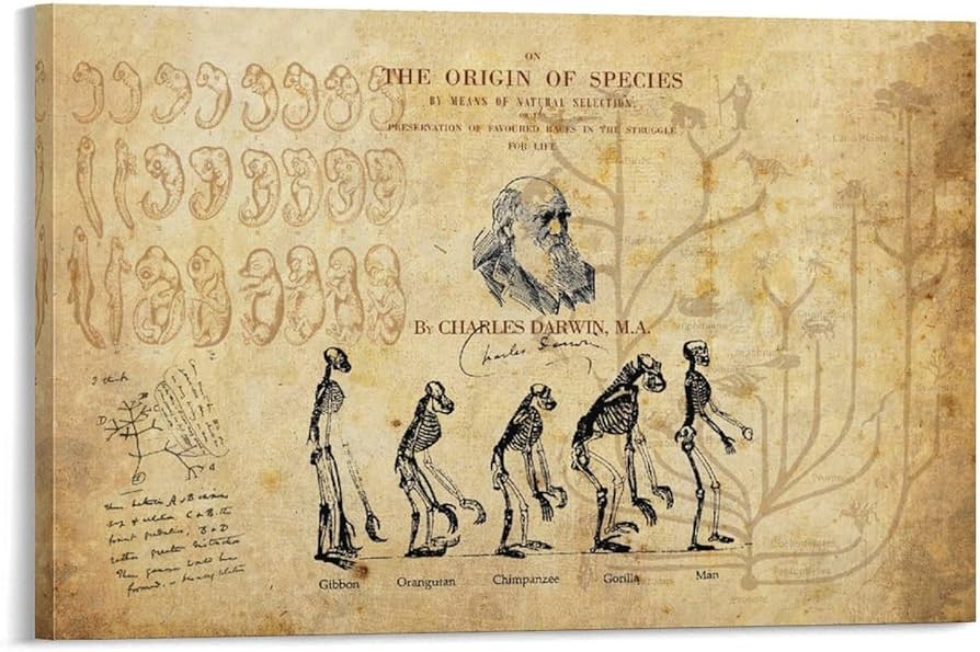 Amazon.co.jp: チャールズ・ダーウィン「種の起源」ポスター ウォール