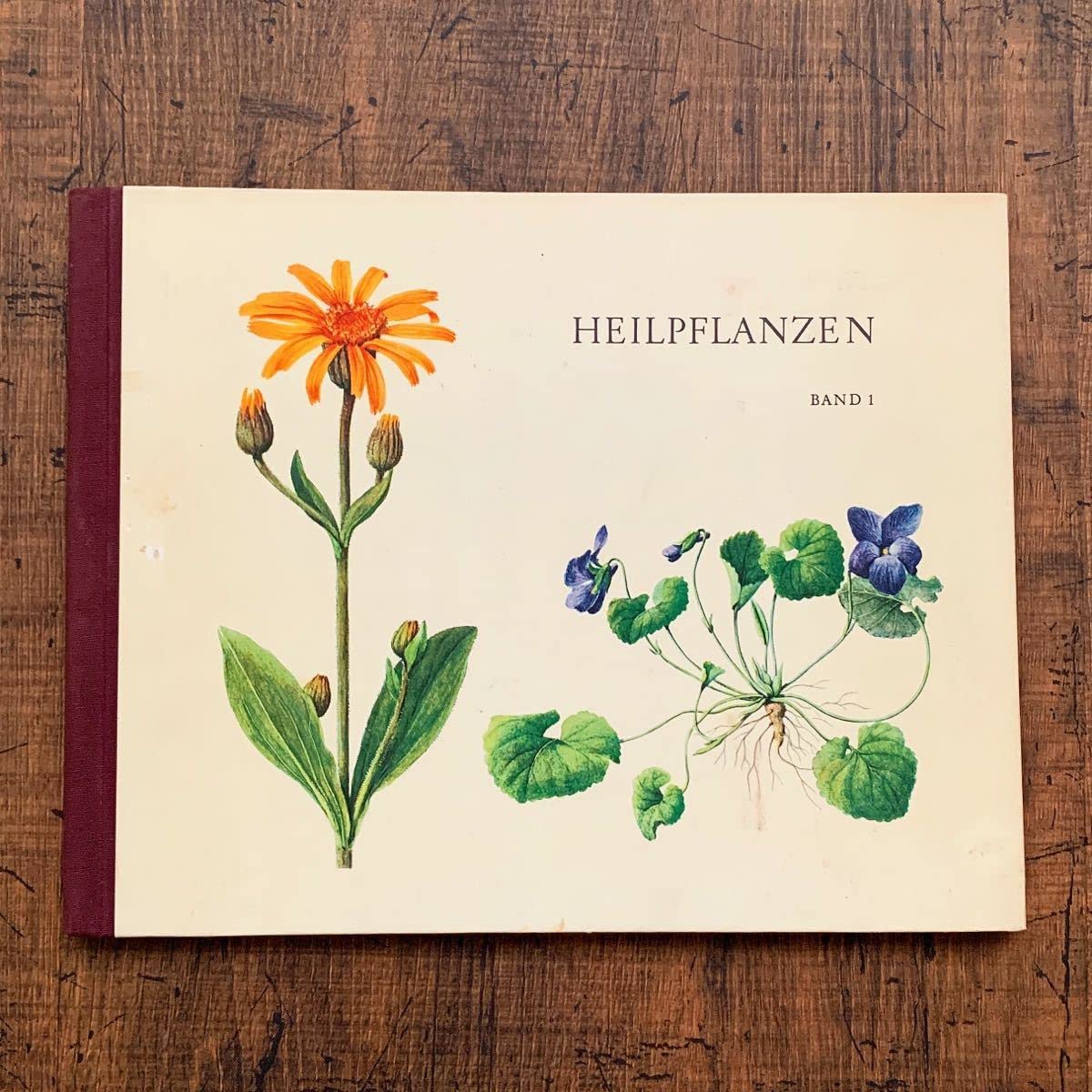 Amazon.co.jp: ドイツの古い植物図鑑(HEILPFLANZEN)/アンティーク