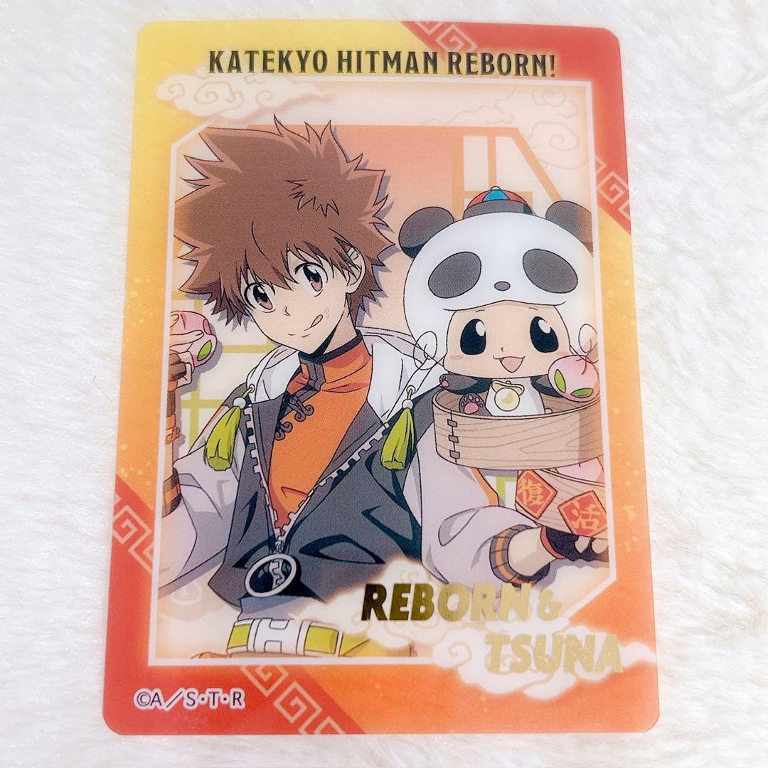 REBORN CCG 第9弾 UR サイン入り 沢田綱吉 リボーン REBORN CCG 第9弾