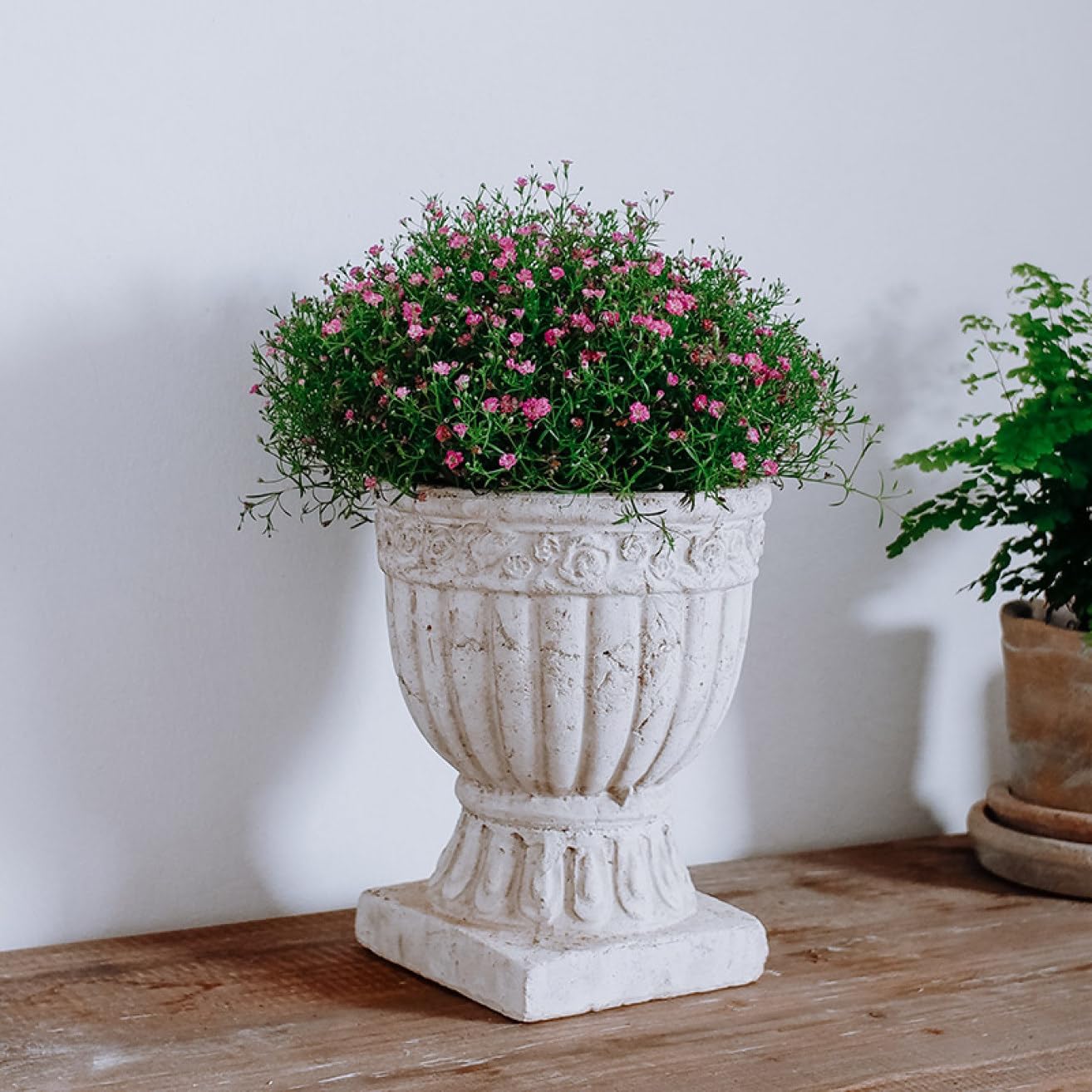 Amazon.co.jp: プランター アンティーク調 大型 おしゃれ 装飾用