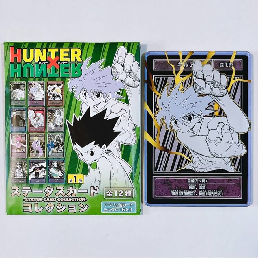 HUNTER×HUNTER キルア 旧アニメ L版サイズ カード 希少 HUNTER×HUNTER