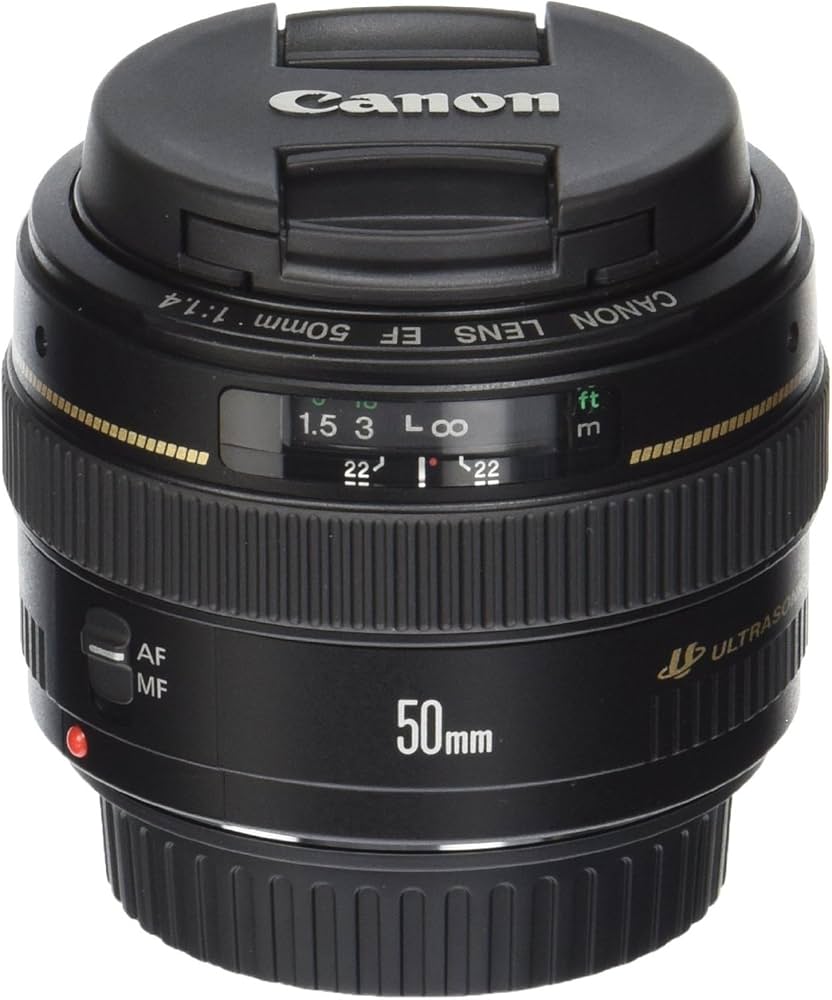 Amazon.com : Canon EF 50mm f/1.4 USM Standard & Medium Telephoto