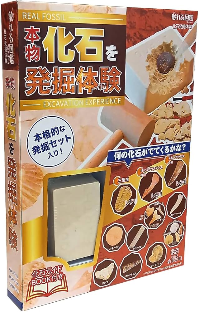 Amazon | 触れる図鑑コレクション 化石発掘体験/本物の化石が入った