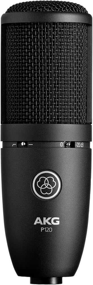 Amazon.co.jp: AKG (アーカーゲー) P120 Project Studio Line