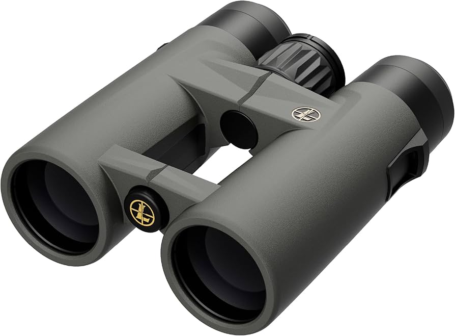 Amazon.com: Leupold BX-4 Pro Guide HD Binoculars, 10x42mm Gen 2