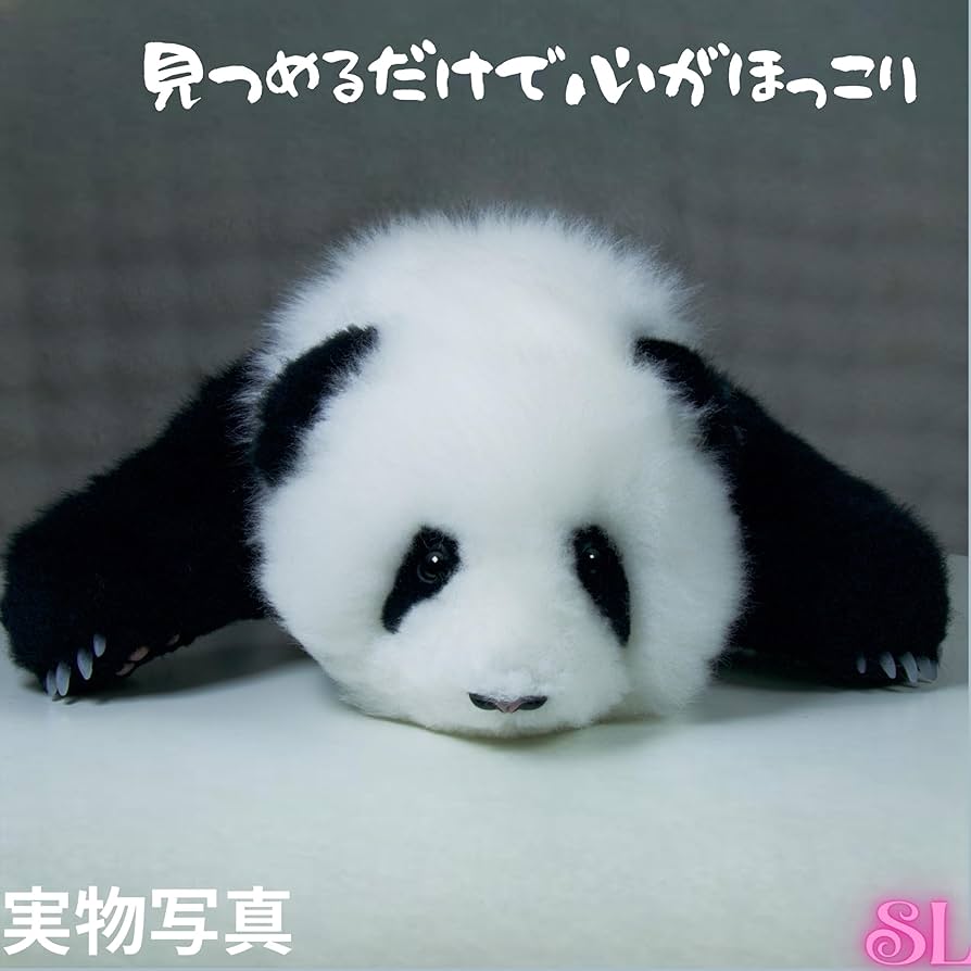 Amazon.co.jp: リアルパンダぬいぐるみ 全身ウール製 最高の手触り