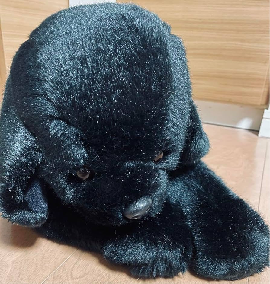 Amazon.co.jp: 四季 オリジナル ラブラドール レトリーバー 黒ラブ