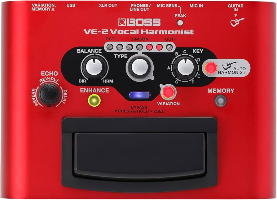 Amazon.com: BOSS VE-2 Vocal Echo Pedal for Singing Guitarists