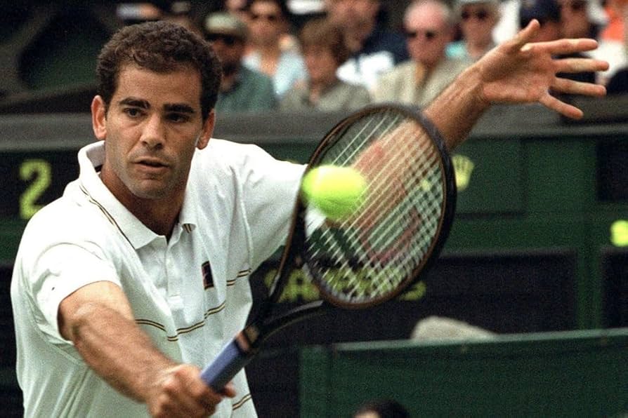 Amazon.co.jp: ピート・サンプラステニスStarsスパンシルク生地壁