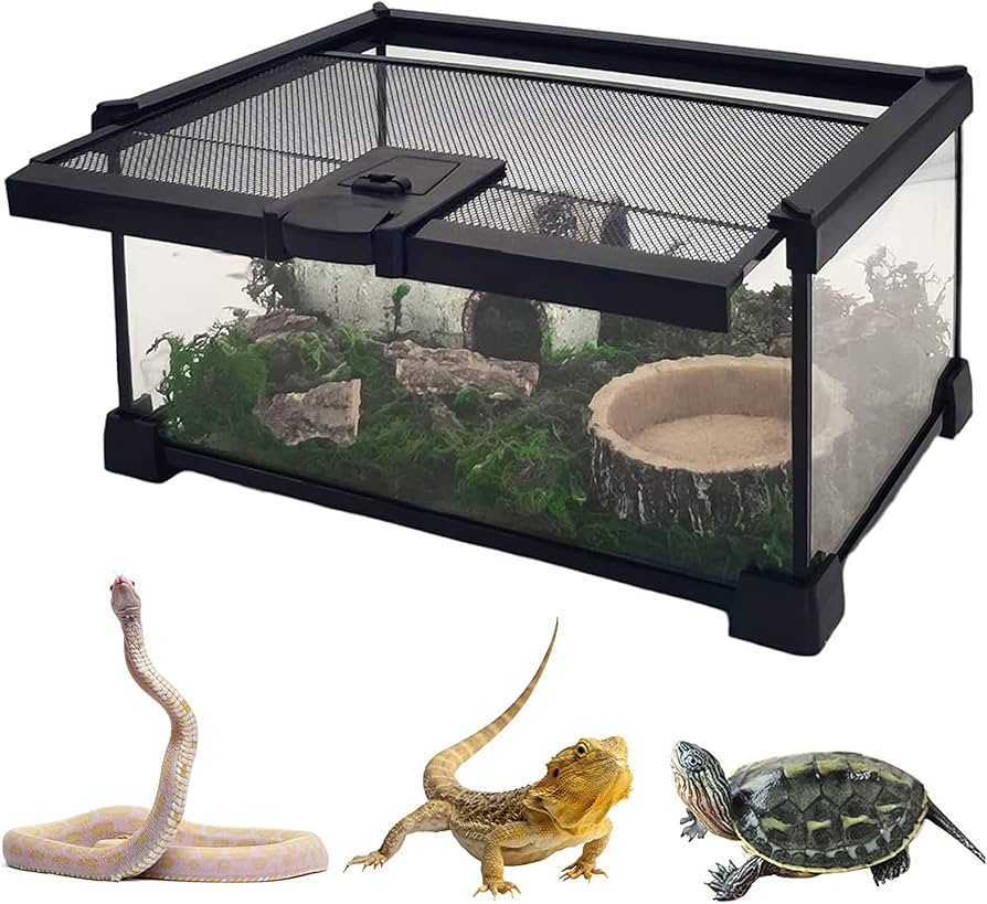 ケージ 爬虫類 トカゲ飼育セット 60 yoshimi ケージ 爬虫類 トカゲ飼育