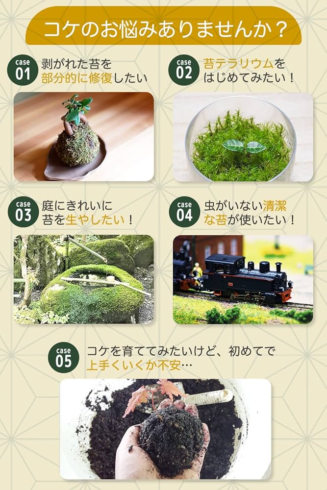 71zE3yendiL._AC_UF1000,