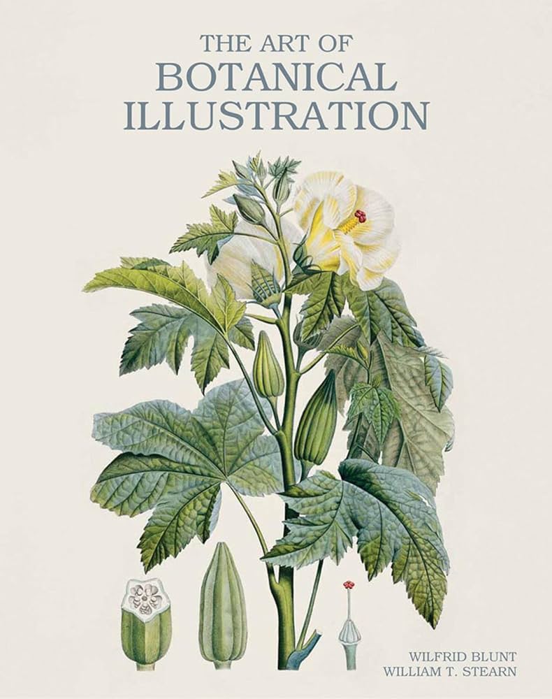 Amazon | The Art of Botanical Illustration | Blunt, Wilfrid, Stern