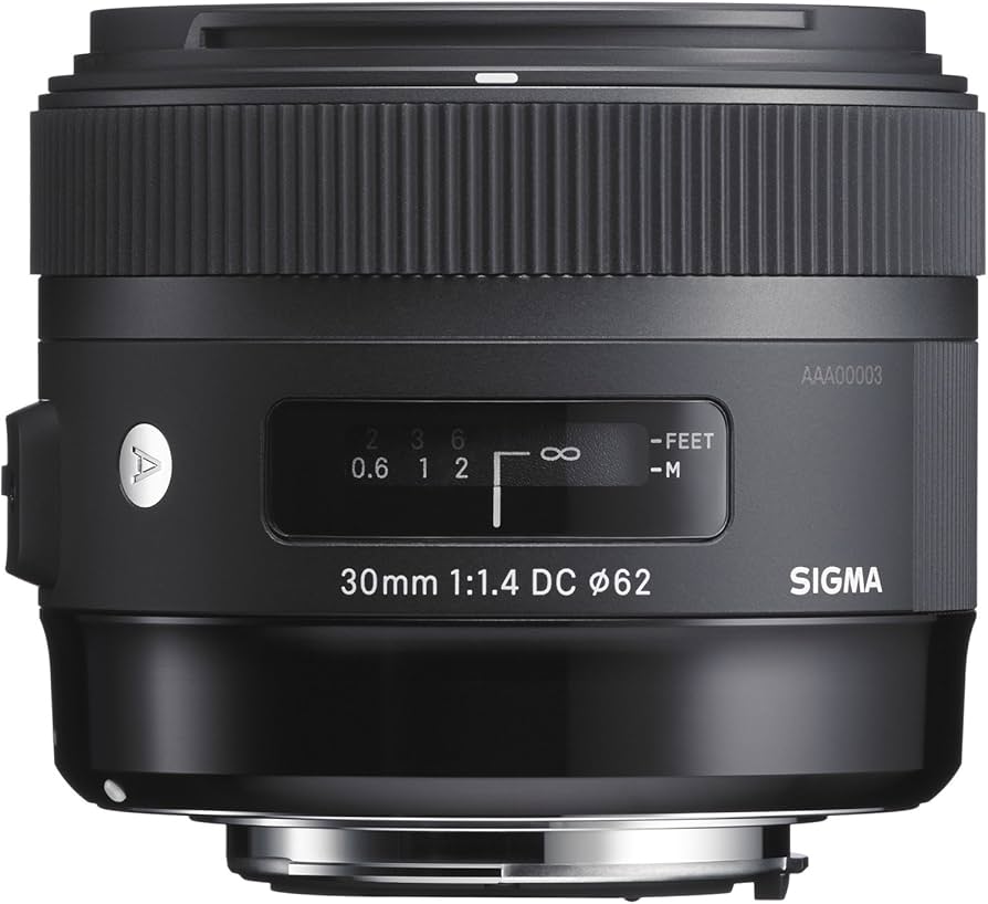 Amazon.com : Sigma 30mm F1.4 Art DC HSM Lens for Canon : Digital