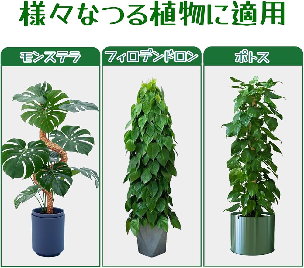 71C5uIwaI9L._AC_UF1000,