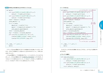 VTuberサプーが教える！ Python 初心者のコード／プロのコード