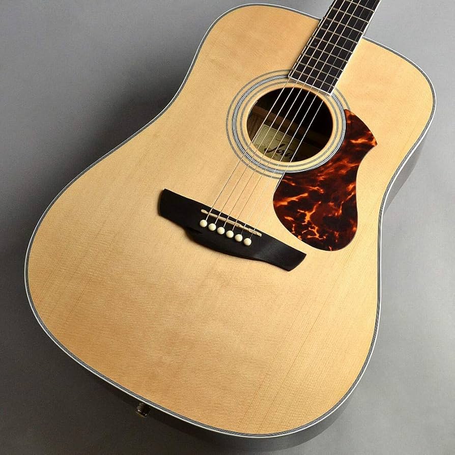 Amazon | James J-500D/Ova ナチュラル アコースティックギター