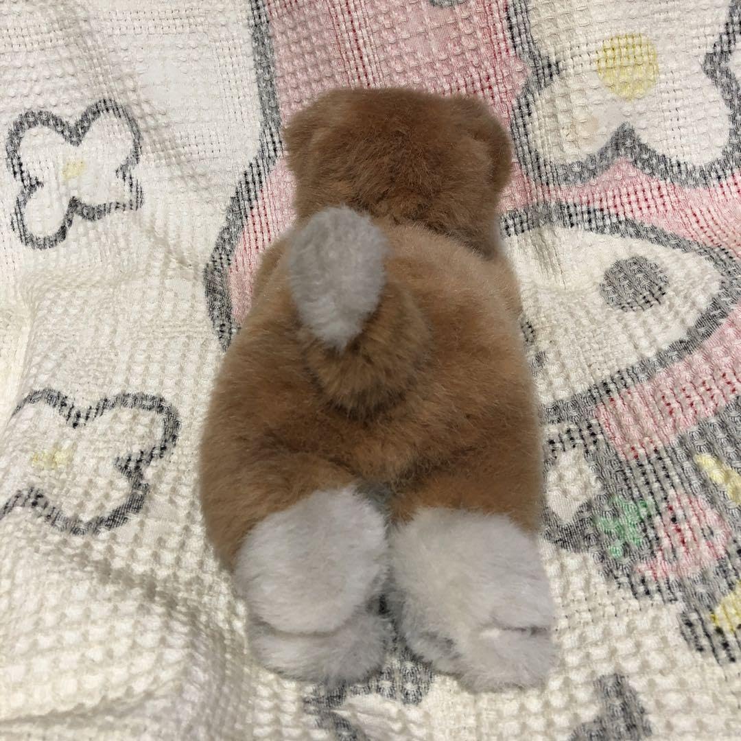 Amazon.co.jp: 平成レトロ 1992 ×セキグチ製 鳴く 犬 ぬいぐるみ 中古