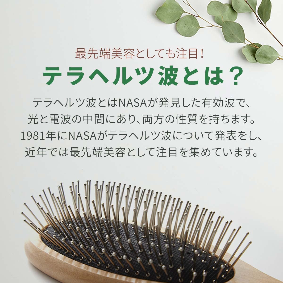 Amazon | TERA BRUSH ヘアブラシ テラブラシ TERA BRUSH テラヘルツ波