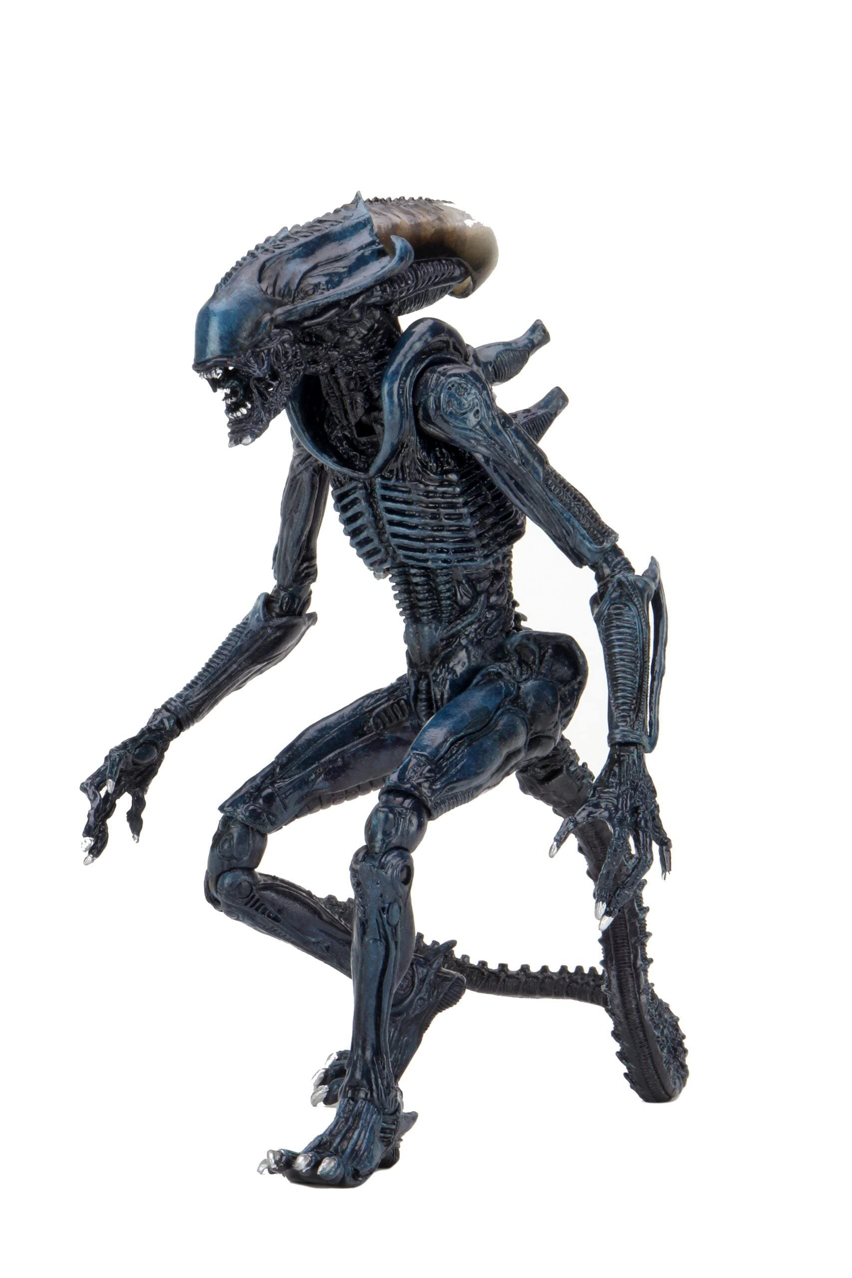 Amazon.com: NECA Alien vs Predator 7