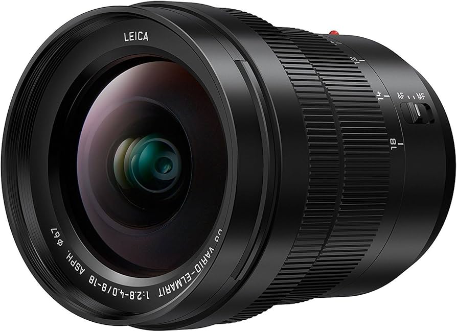Amazon.com : Panasonic LUMIX Professional 8-18mm Camera Lens, G