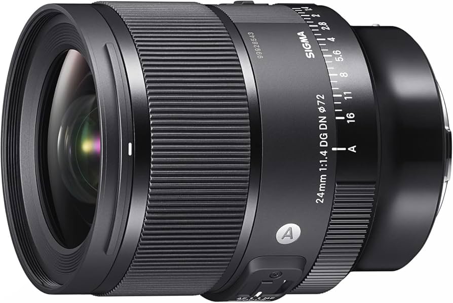 Amazon.com : Sigma 24mm F1.4 Art DG DN Lens for L Mount : Electronics