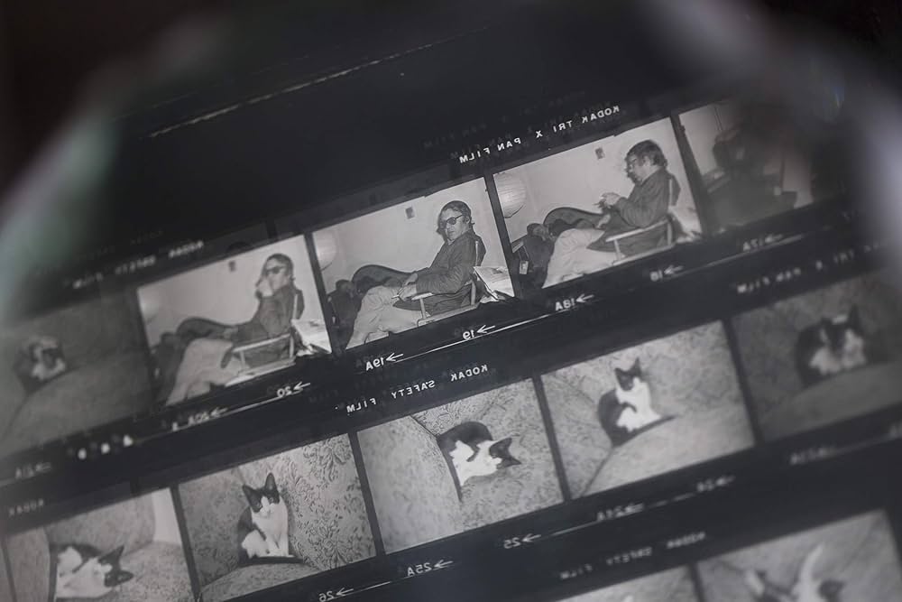 Saul Leiter: In Stillness | 井津由美子, 佐藤正子, ポリーヌ・ヴェル