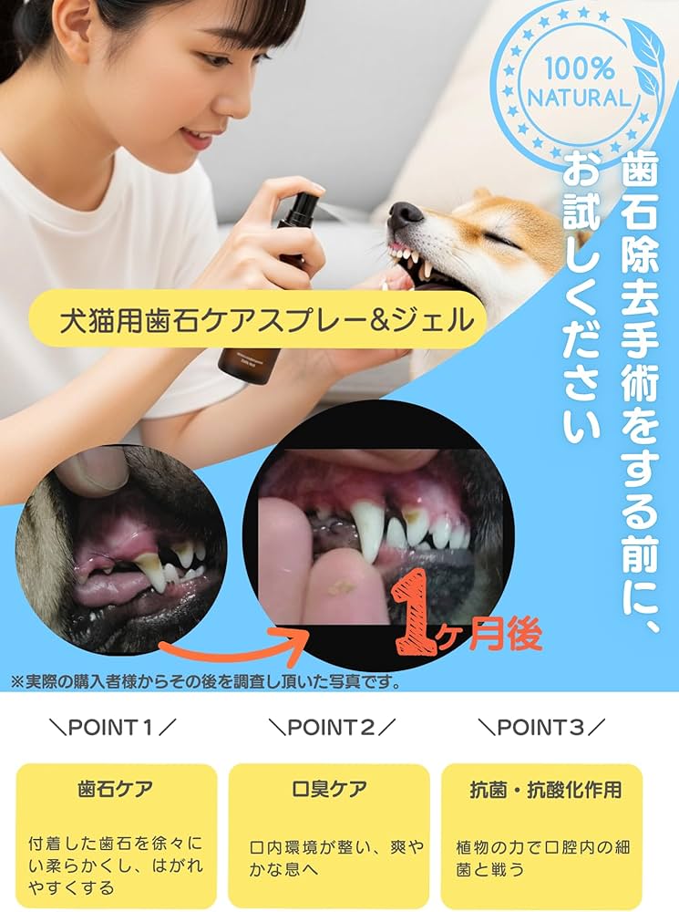 Amazon.co.jp: [REDENTA]リデンタ犬猫用 歯石ケア ジェル50mL(ミント味