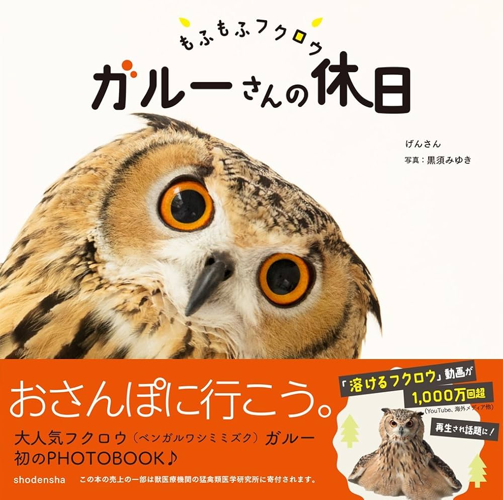 Amazon.com: もふもふフクロウ ガルーさんの休日: 9784396616595: げん