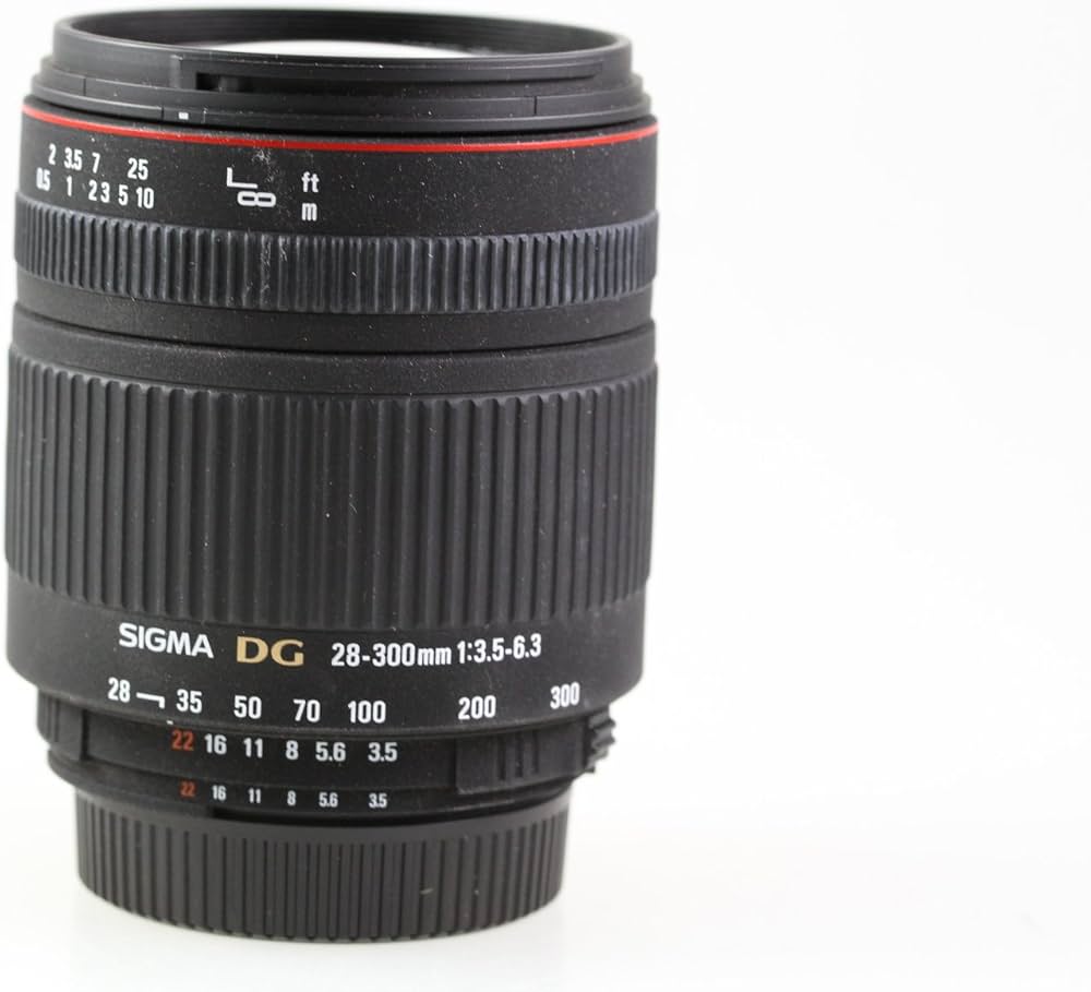 Buy Sigma 28-300mm f/3.5-6.3 DG Macro Nikon Fit Lens Online at Low