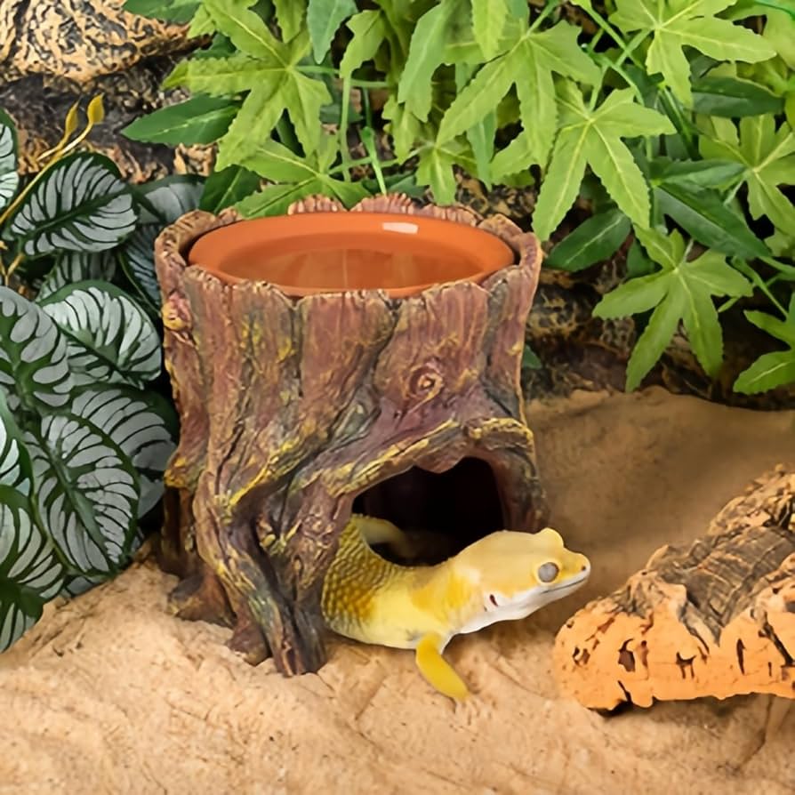 Amazon | 木の穴木の切り株爬虫類シェルター隠れ家ウェットシェルター