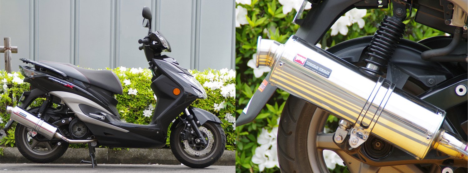 Amazon | ワールドウォーク(World walk) シグナスX SE44J用 パワー