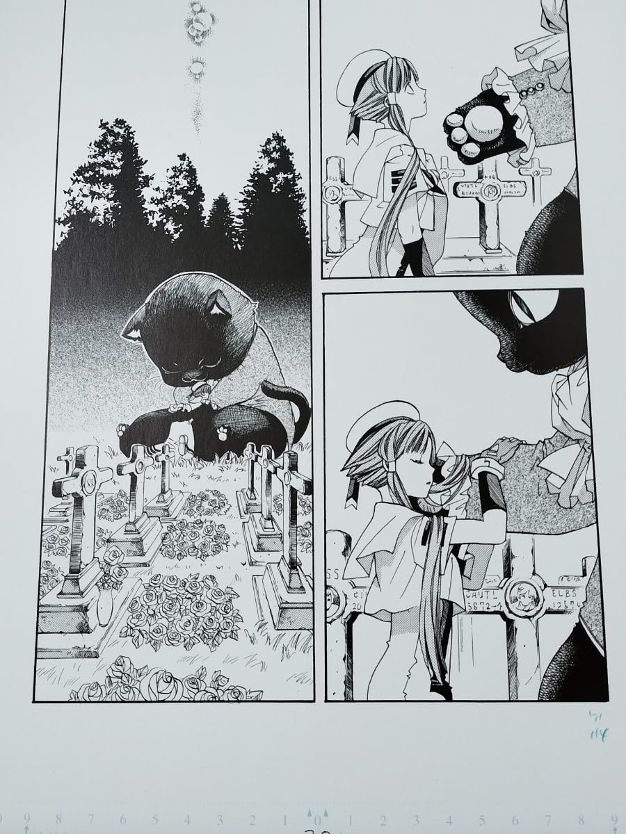 Amazon.co.jp: ARIA 天野こずえ B4サイズ 複製原画 額装品 水無灯里