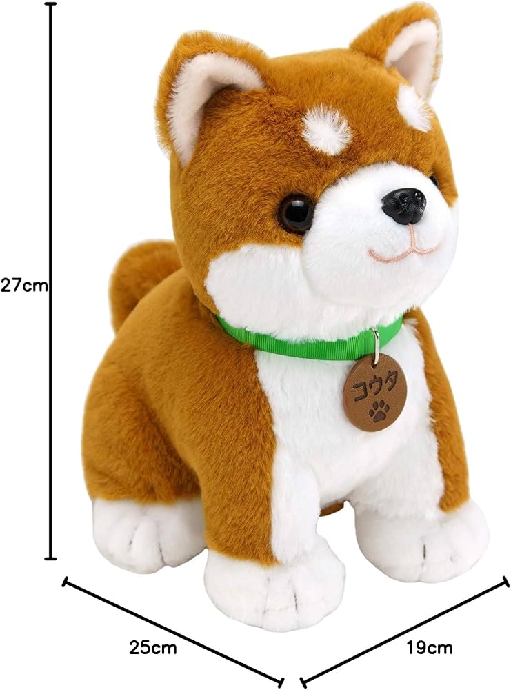 71G16fNAnqL._AC_UF894,