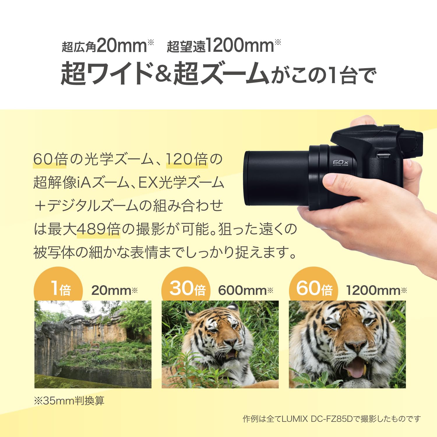Amazon.co.jp: パナソニック(Panasonic) LUMIX デジタルカメラ 光学60