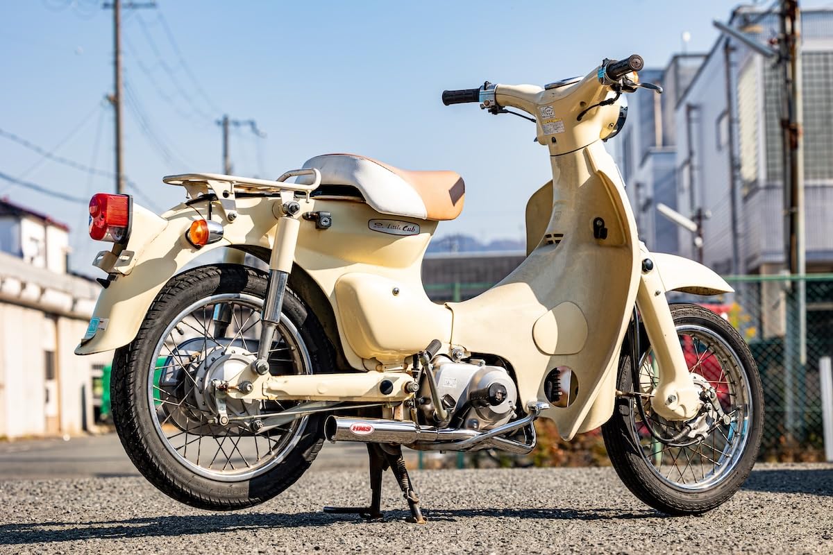 Amazon | 【国内メーカー HMS製】バンプショット フィフティ (Bump