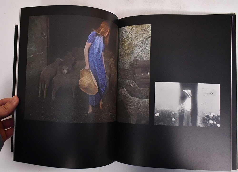 Dreams of a Young Girl: Hamilton, David & Alain Robbe-Grillet