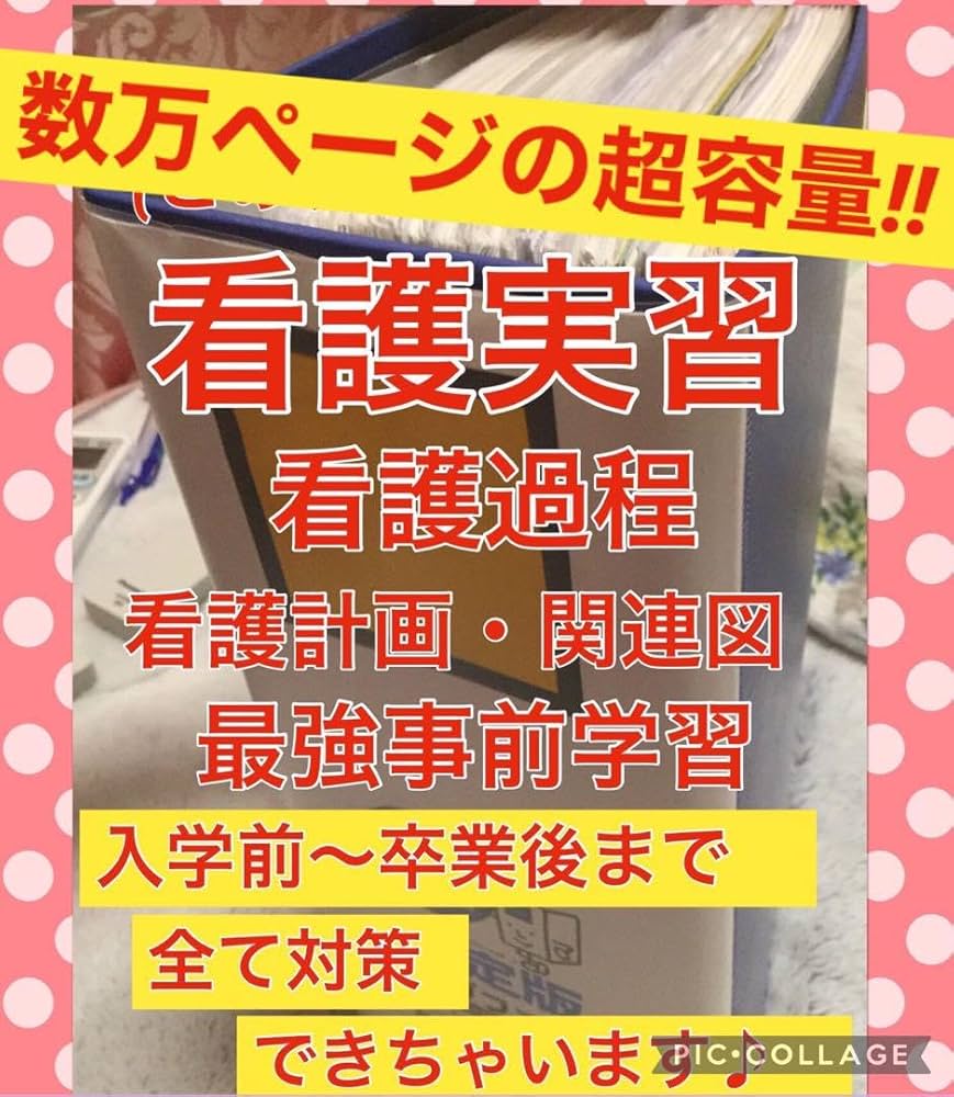Amazon.co.jp: 看護実習 看護学生 看護過程 手順書 関連図 計画 看護師
