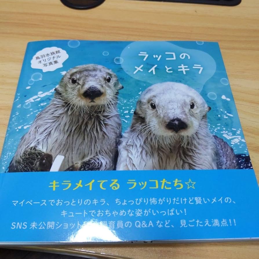 Amazon.co.jp: 鳥羽水族館 写真集「ラッコのメイとキラ」 : おもちゃ