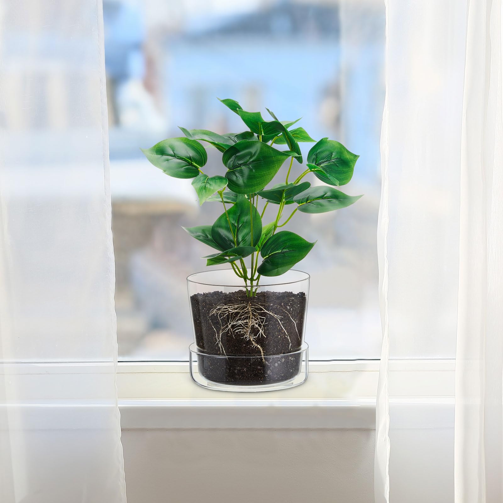 Amazon.co.jp: Singhoow 2セット 6インチ ガラスプランター 排水穴と