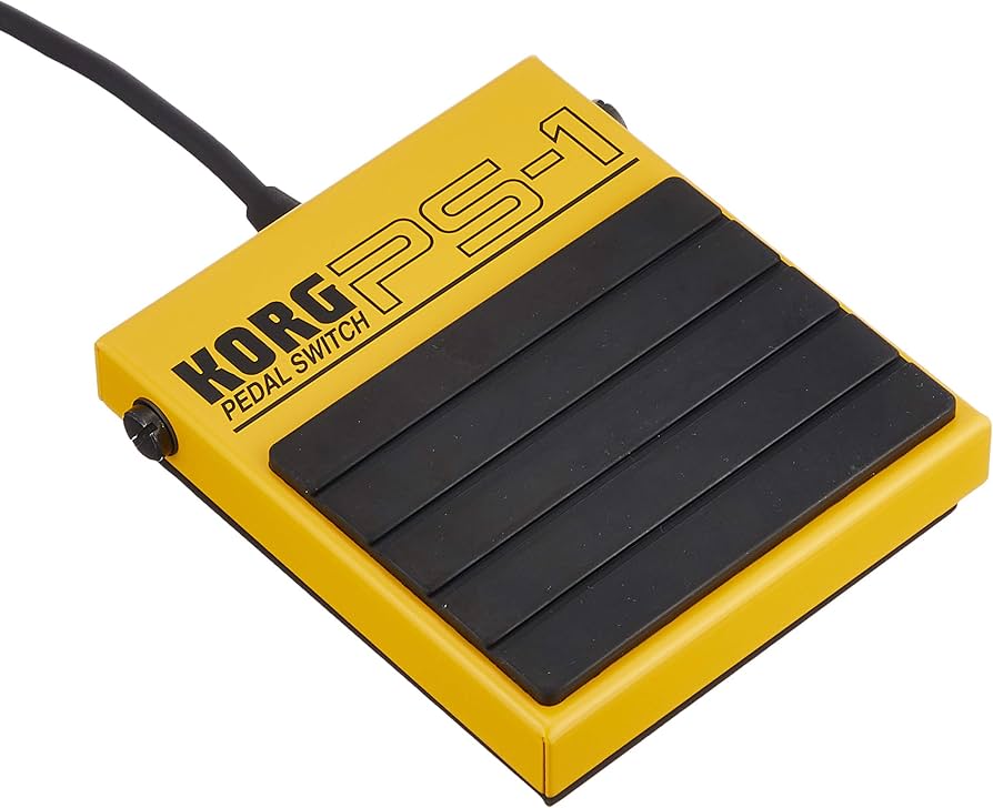 Amazon.com: KORG PS-1 Single Momentary Pedal Footswitch for MIDI