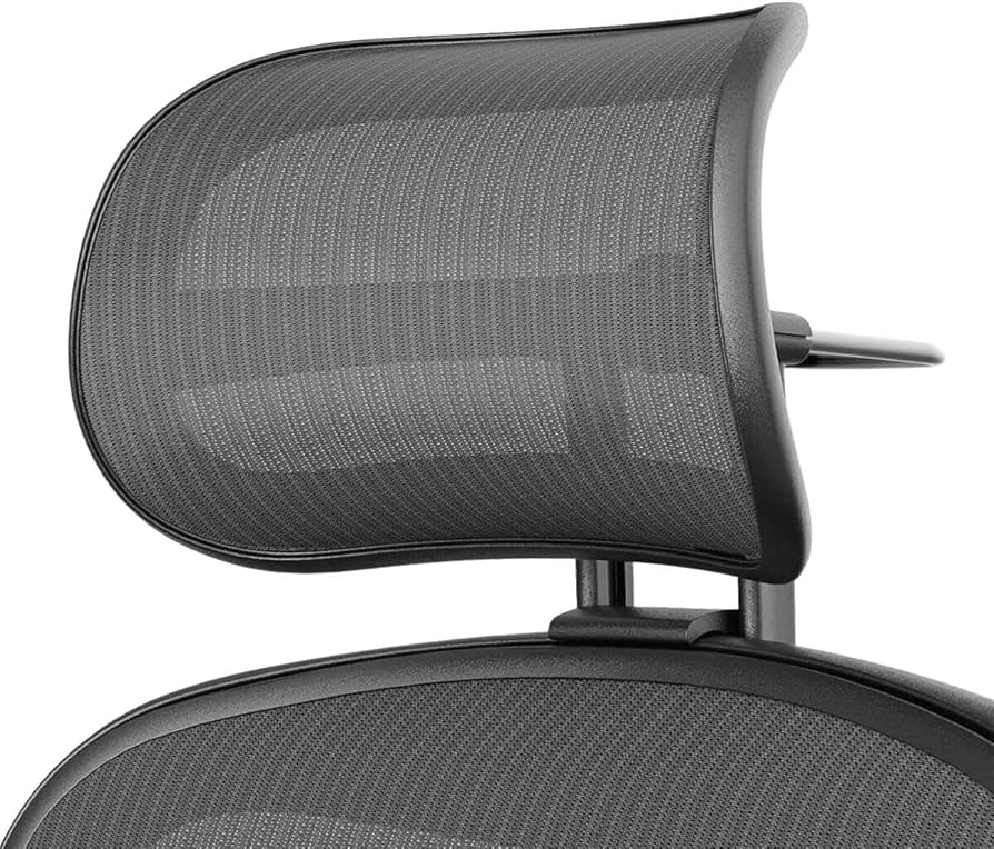 Amazon.co.jp: Atlas アーロンチェア ヘッドレスト グラファイト （リ