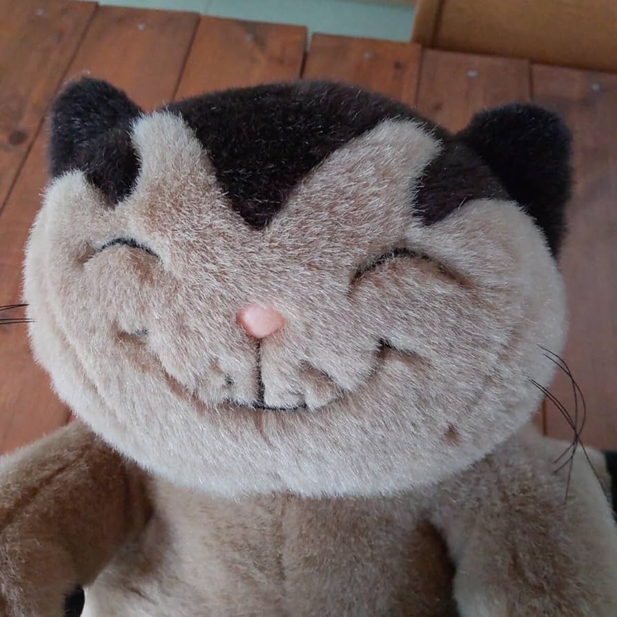 Amazon.co.jp: 猫のヤーコプ セキグチ sekiguchi ぬいぐるみ レア 絵本