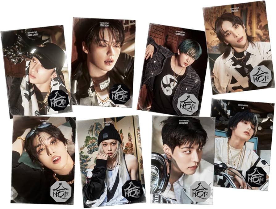 Amazon.com: Stray Kids 10th Mini Album SKZHOP HIPTAPE 合 [HOP