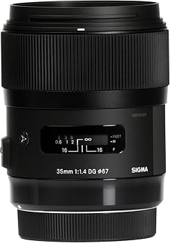 Amazon.co.jp: シグマ(Sigma) SIGMA シグマ Nikon Fマウント レンズ