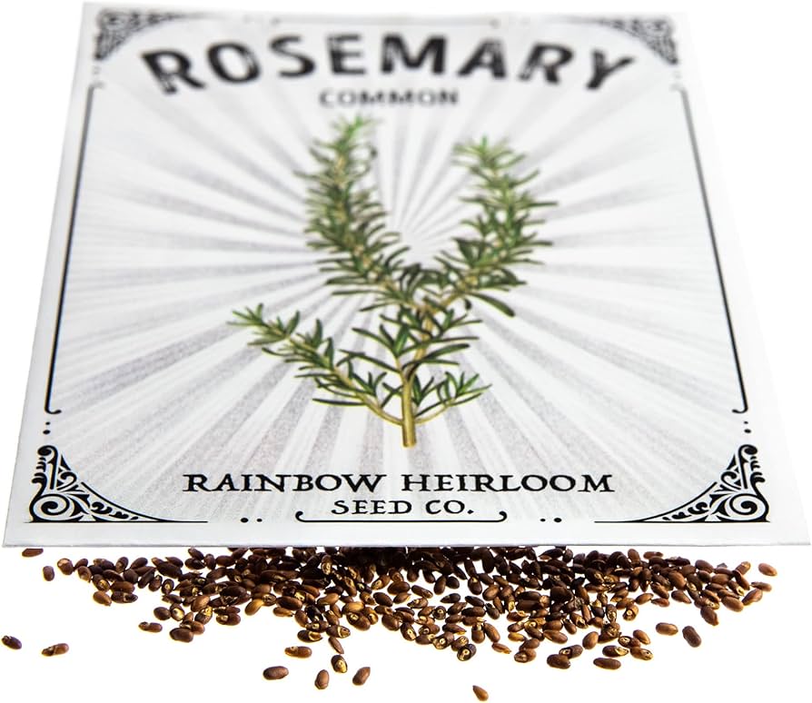 71K7hWRxrlL._AC_UF894,